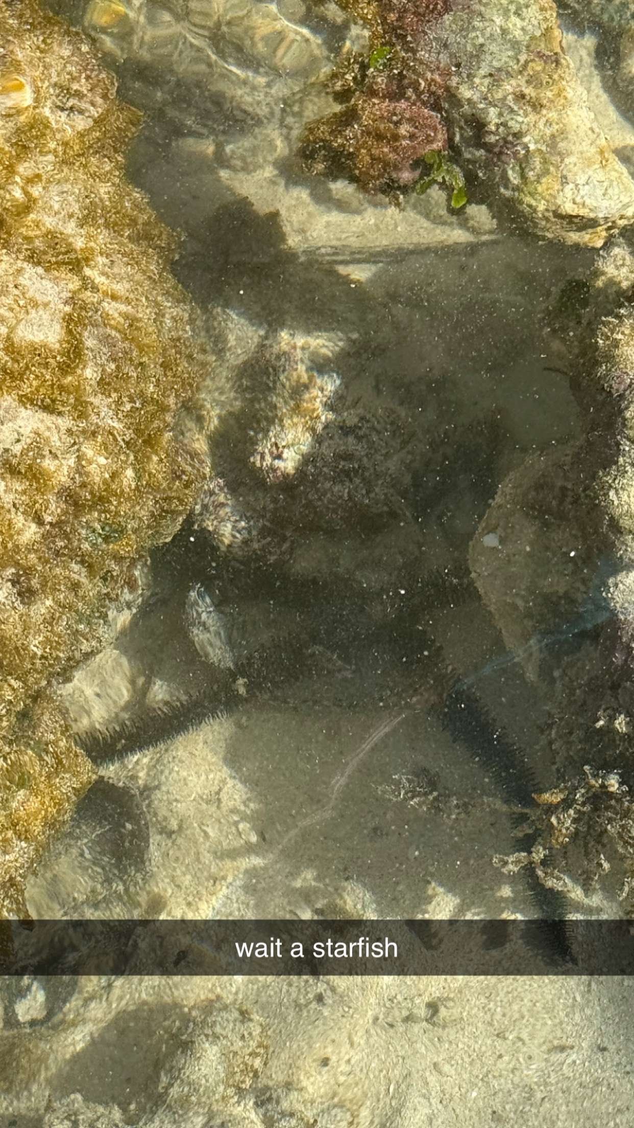 julia.filippo snapchat image archive image