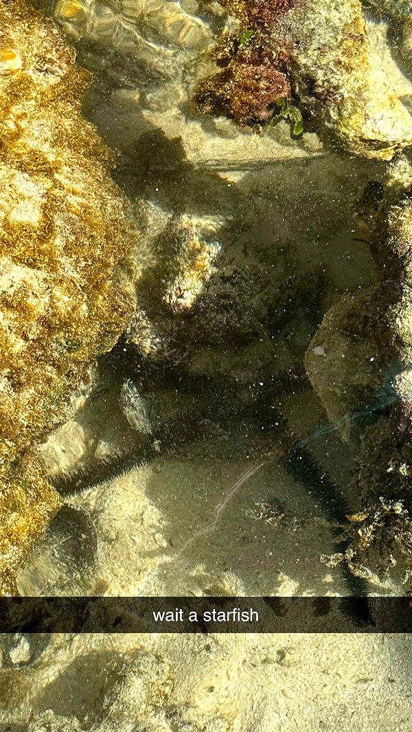 julia.filippo image ~ Altpins