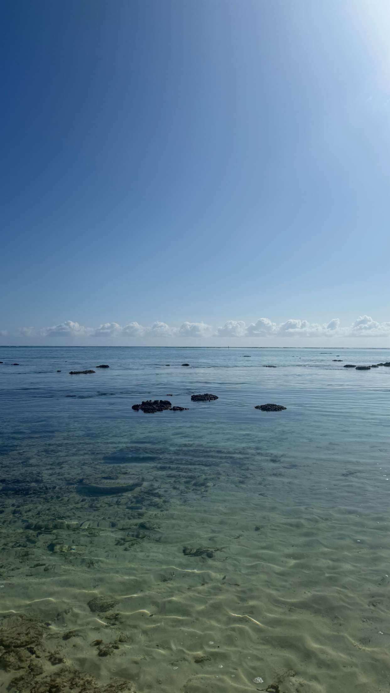 julia.filippo snapchat image archive image