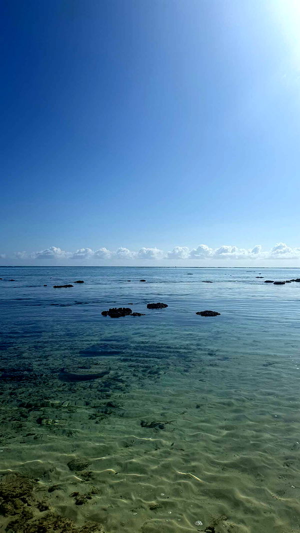 julia.filippo image ~ Altpins