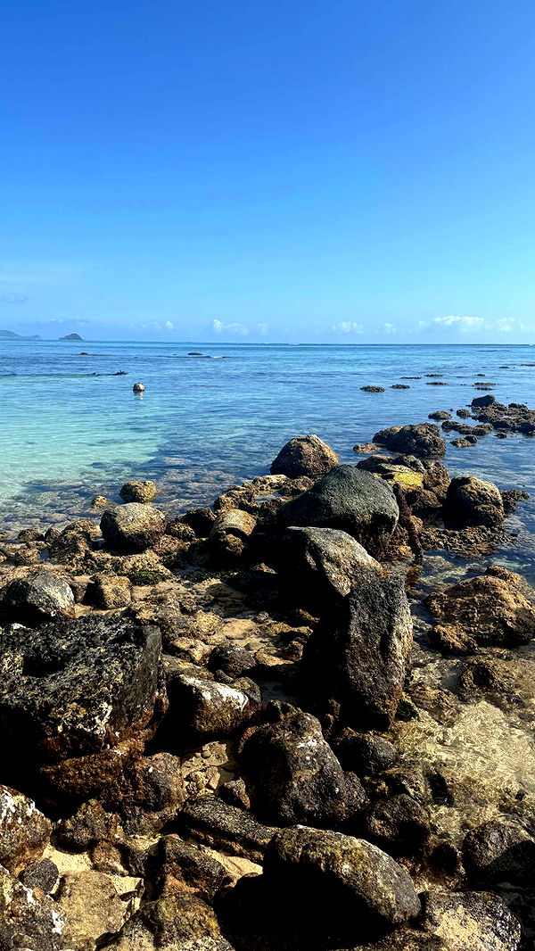 julia.filippo image ~ Altpins