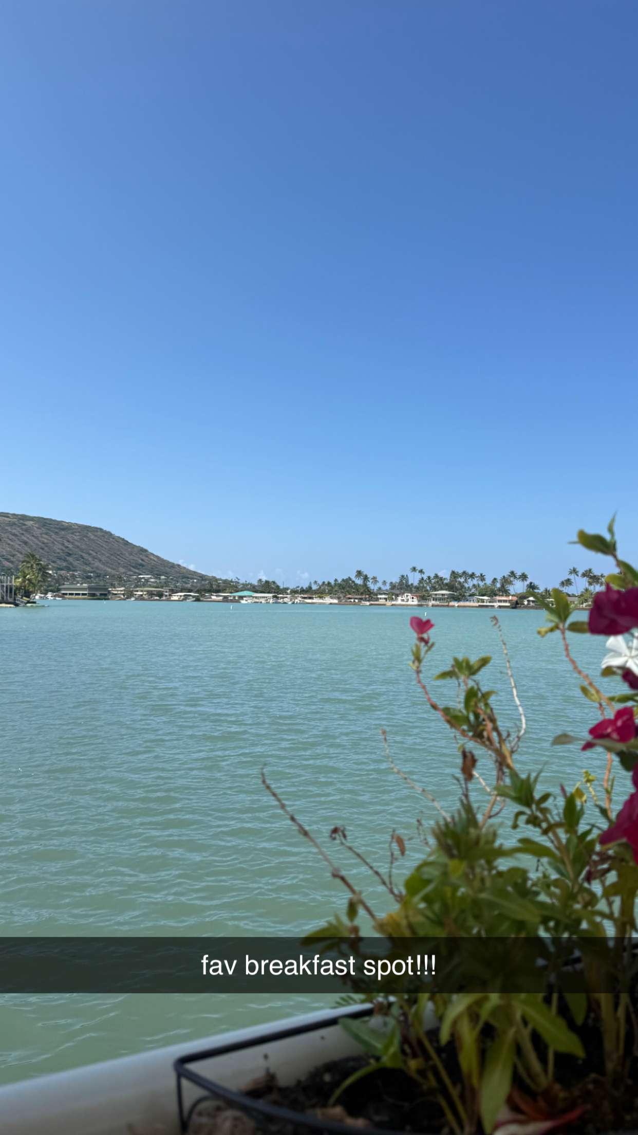 julia.filippo snapchat image archive image