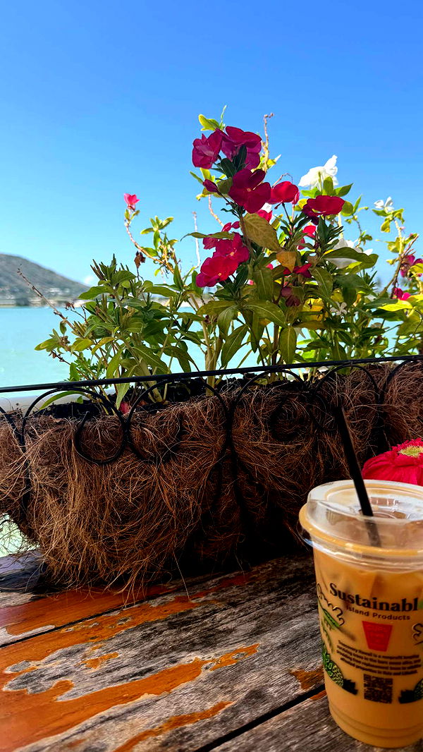 julia.filippo image ~ Altpins