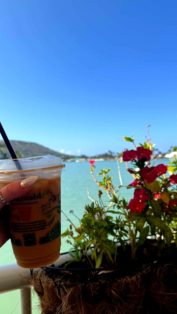 julia.filippo image ~ Altpins