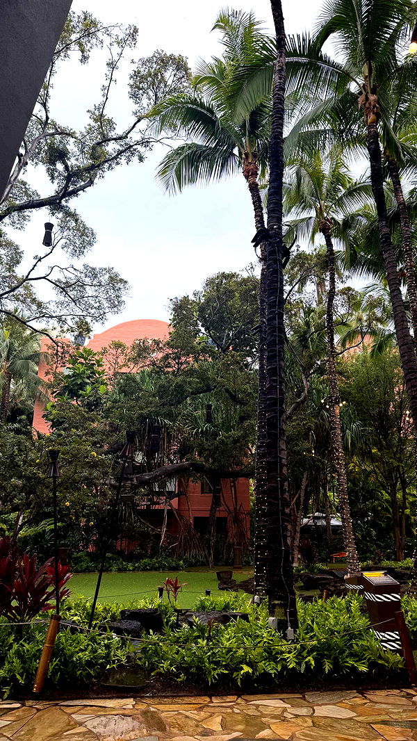 julia.filippo image ~ Altpins