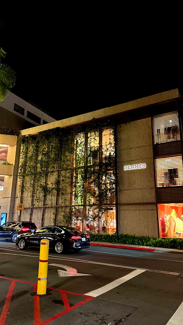 julia.filippo image ~ Altpins