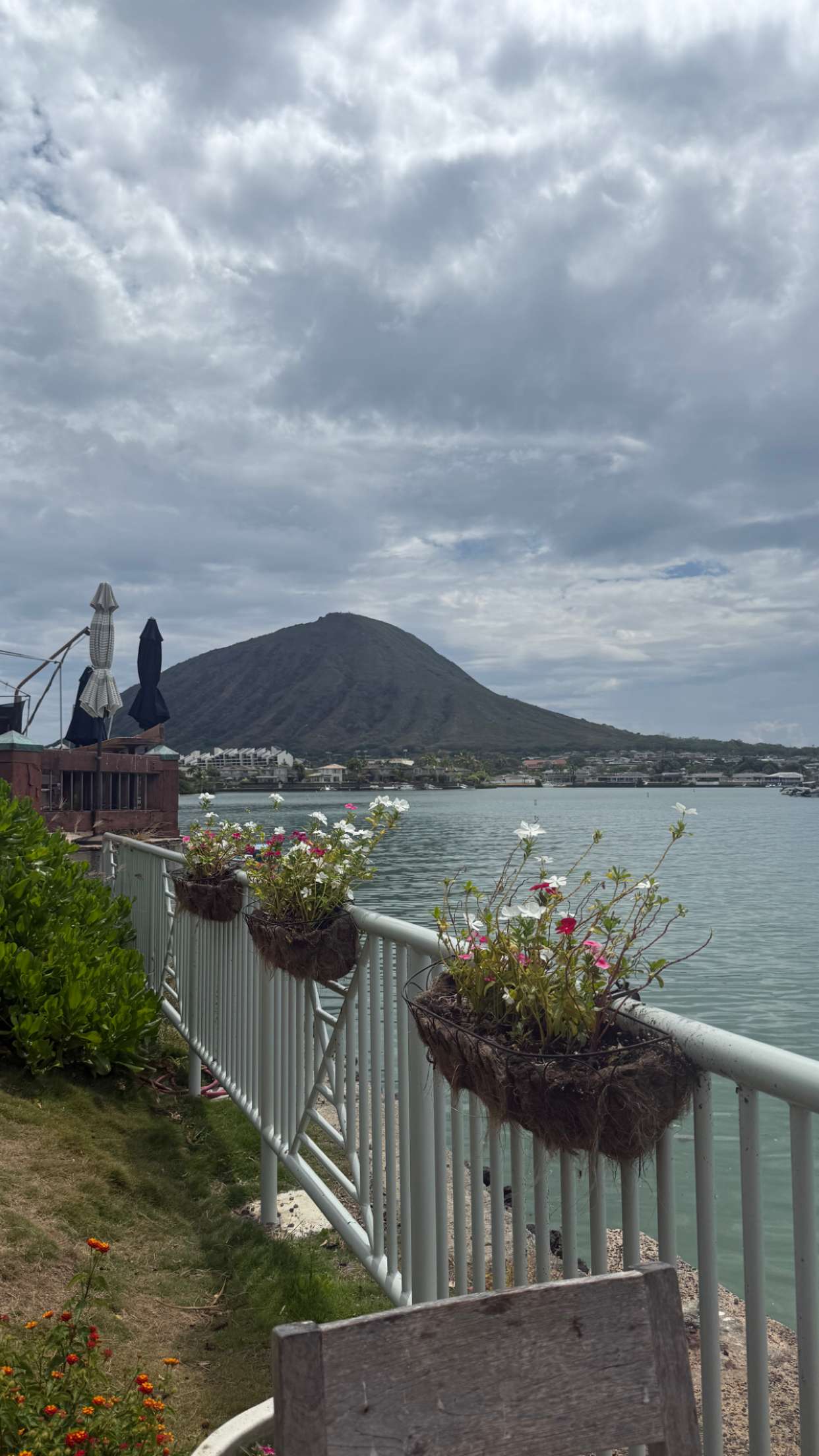 julia.filippo snapchat image archive image