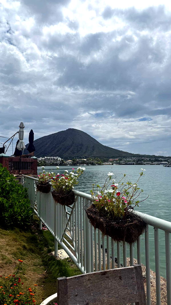 julia.filippo image ~ Altpins