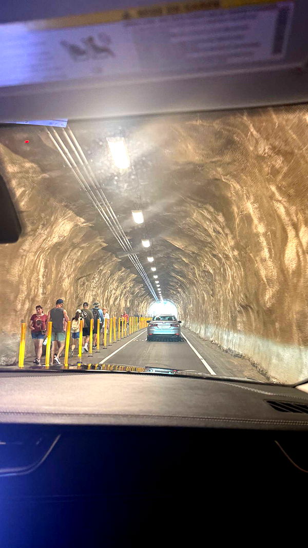 julia.filippo image ~ Altpins