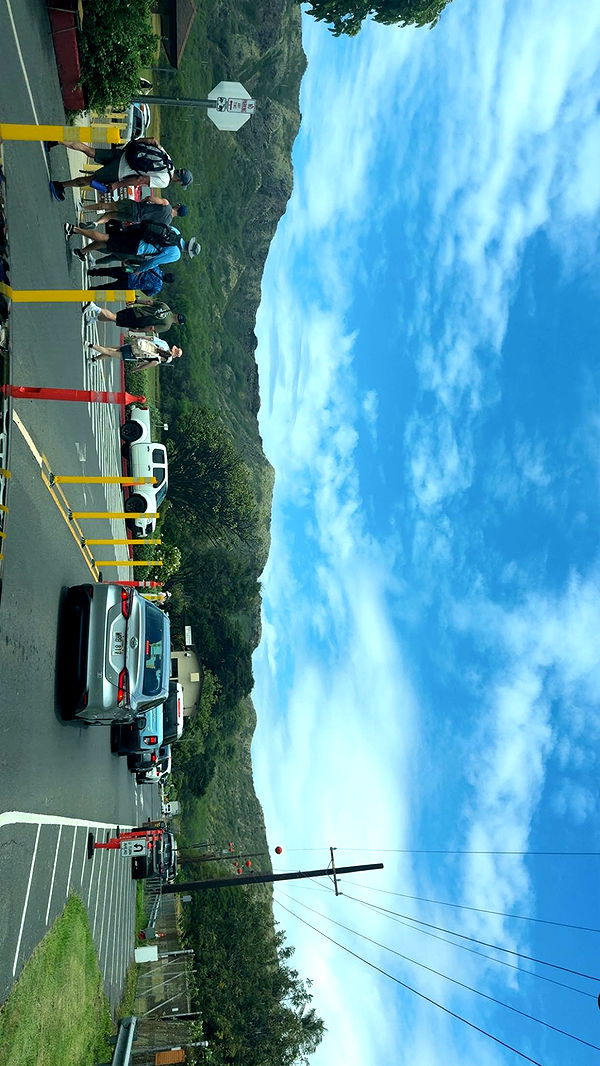 julia.filippo image ~ Altpins