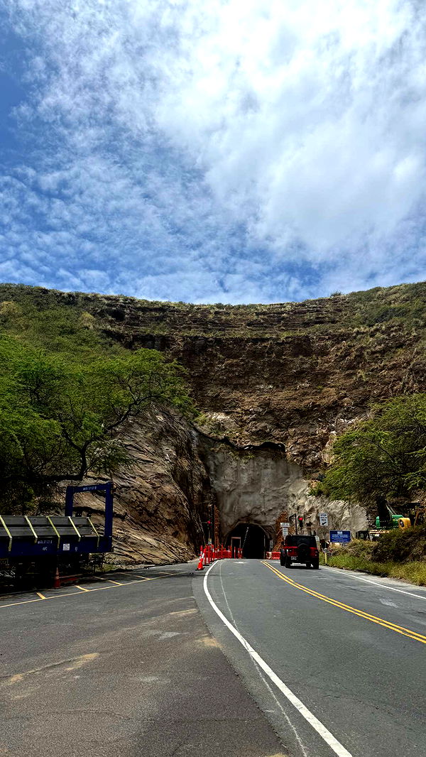 julia.filippo image ~ Altpins