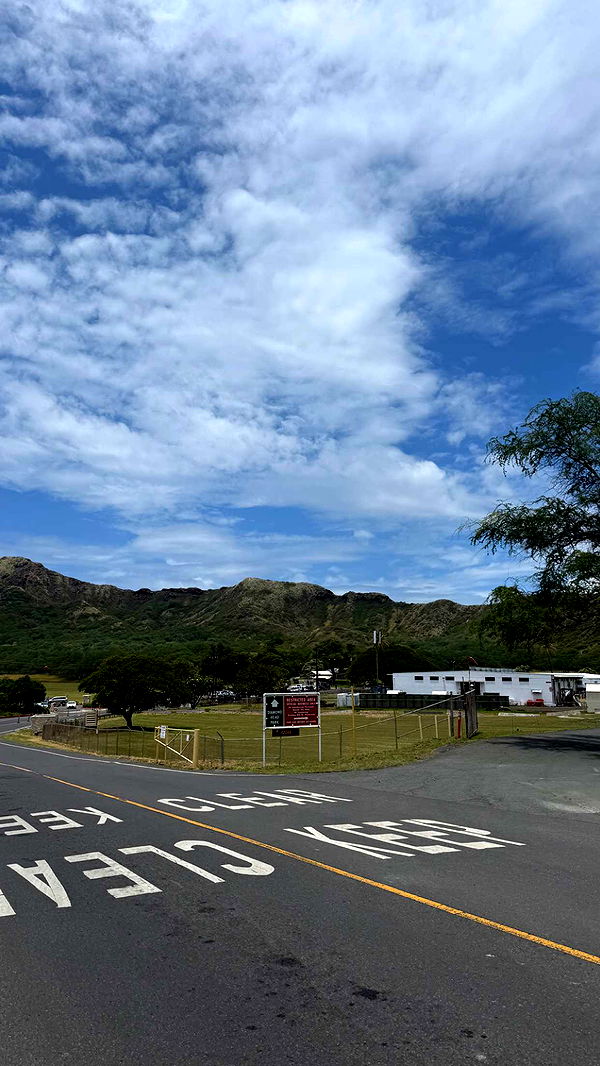 julia.filippo image ~ Altpins