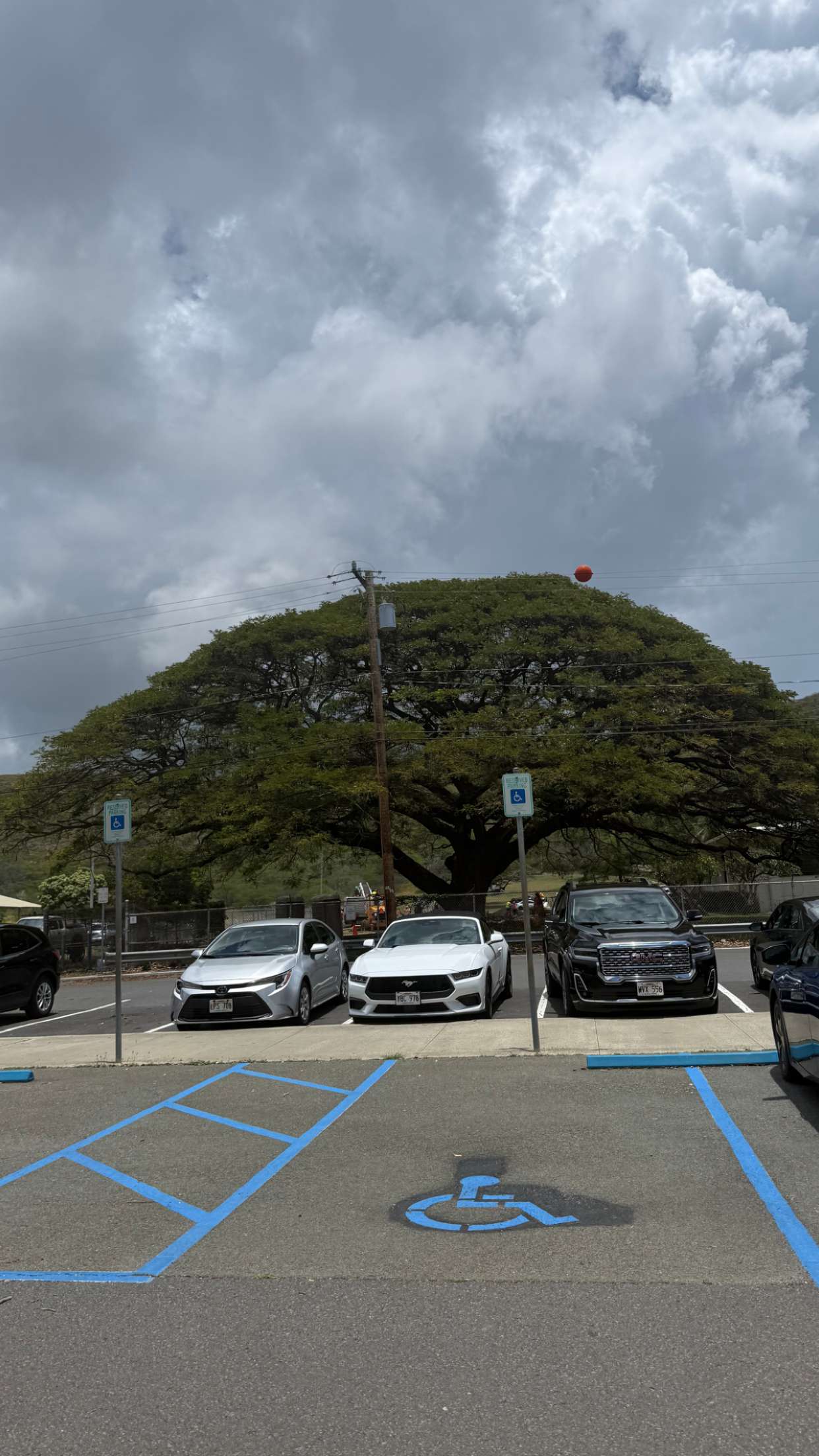 julia.filippo snapchat image archive image