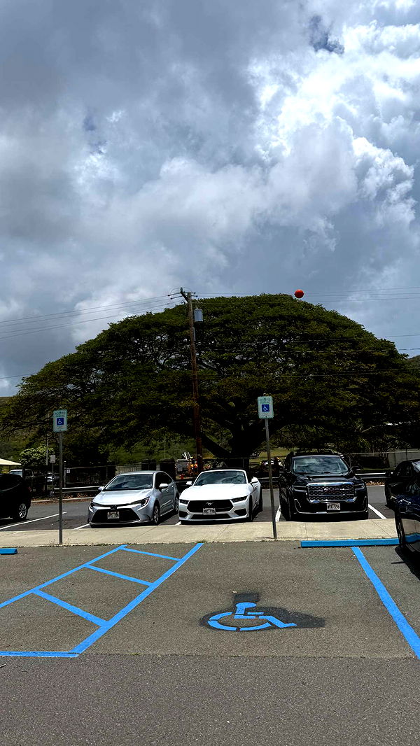 julia.filippo image ~ Altpins