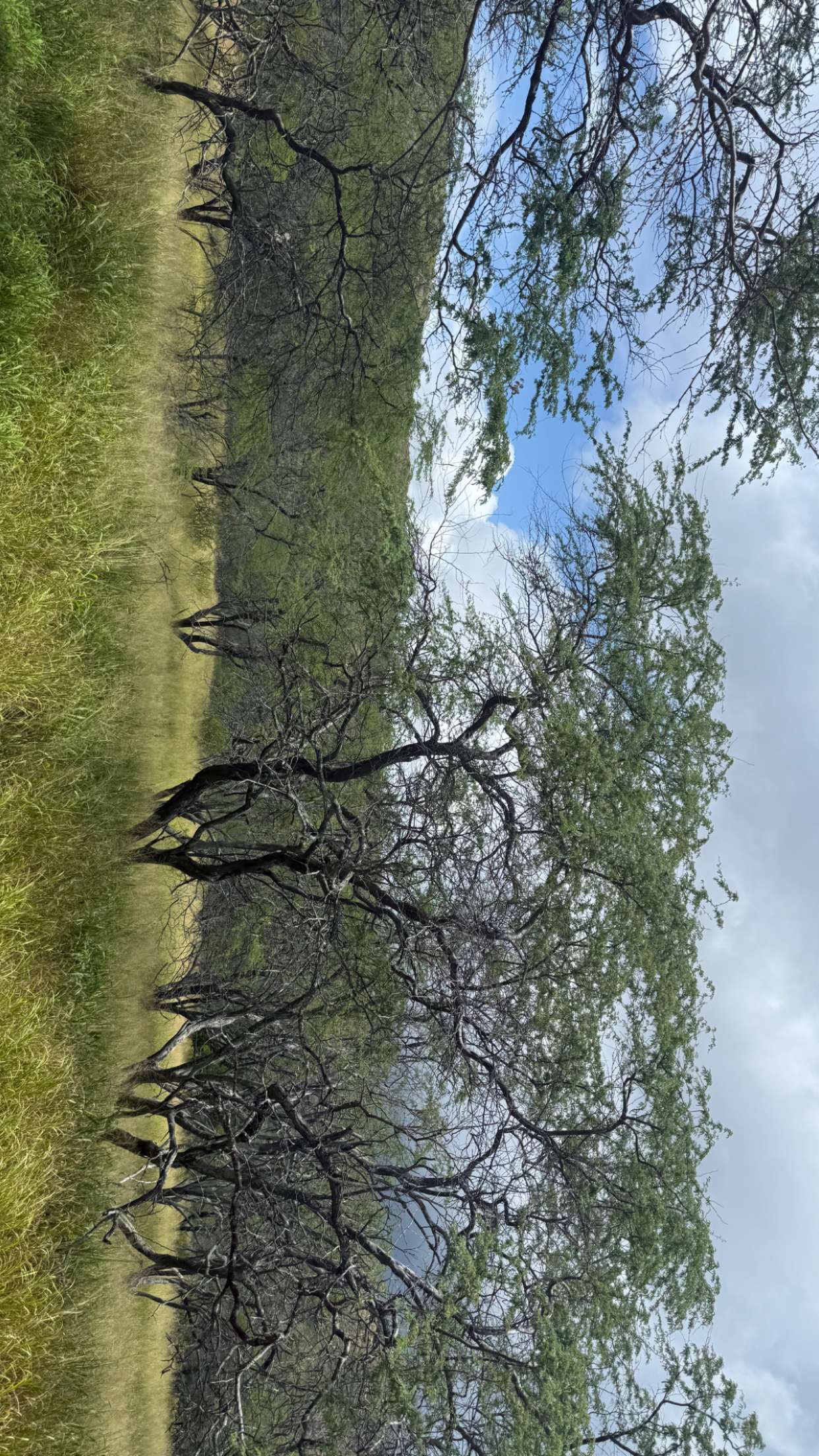 julia.filippo snapchat image archive image