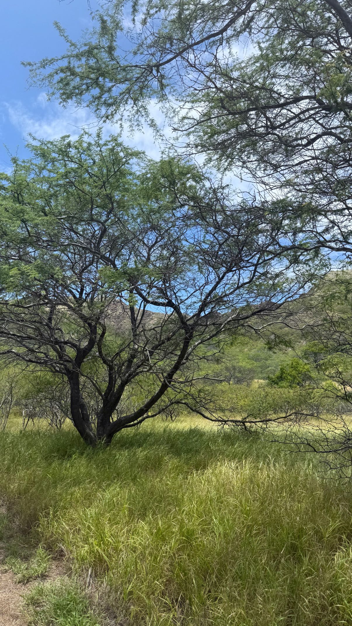 julia.filippo snapchat image archive image