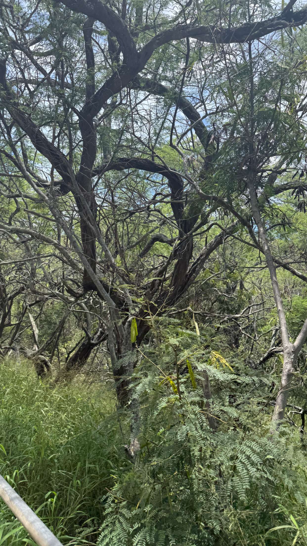 julia.filippo snapchat image archive image