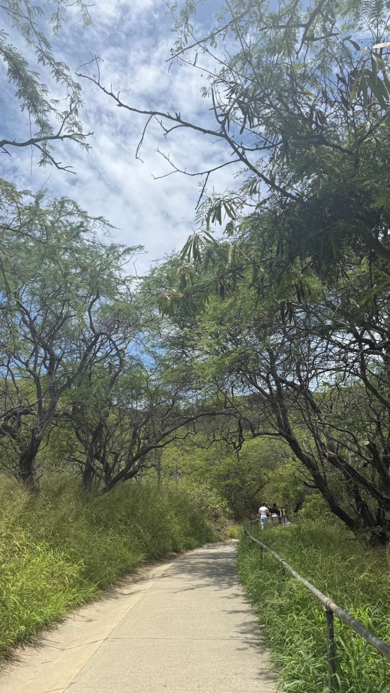 julia.filippo snapchat image archive image