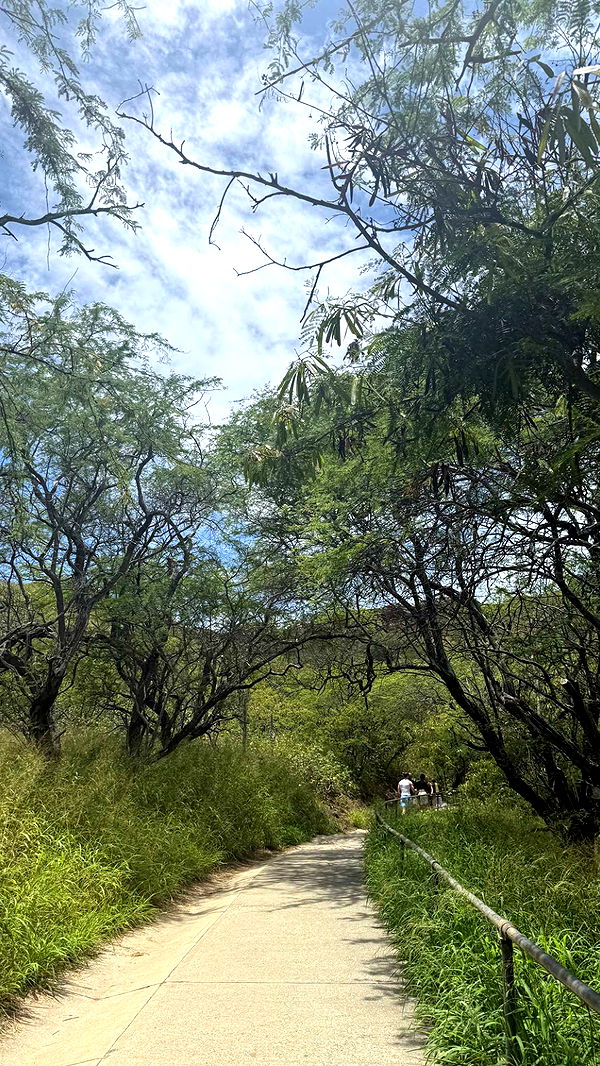 julia.filippo image ~ Altpins