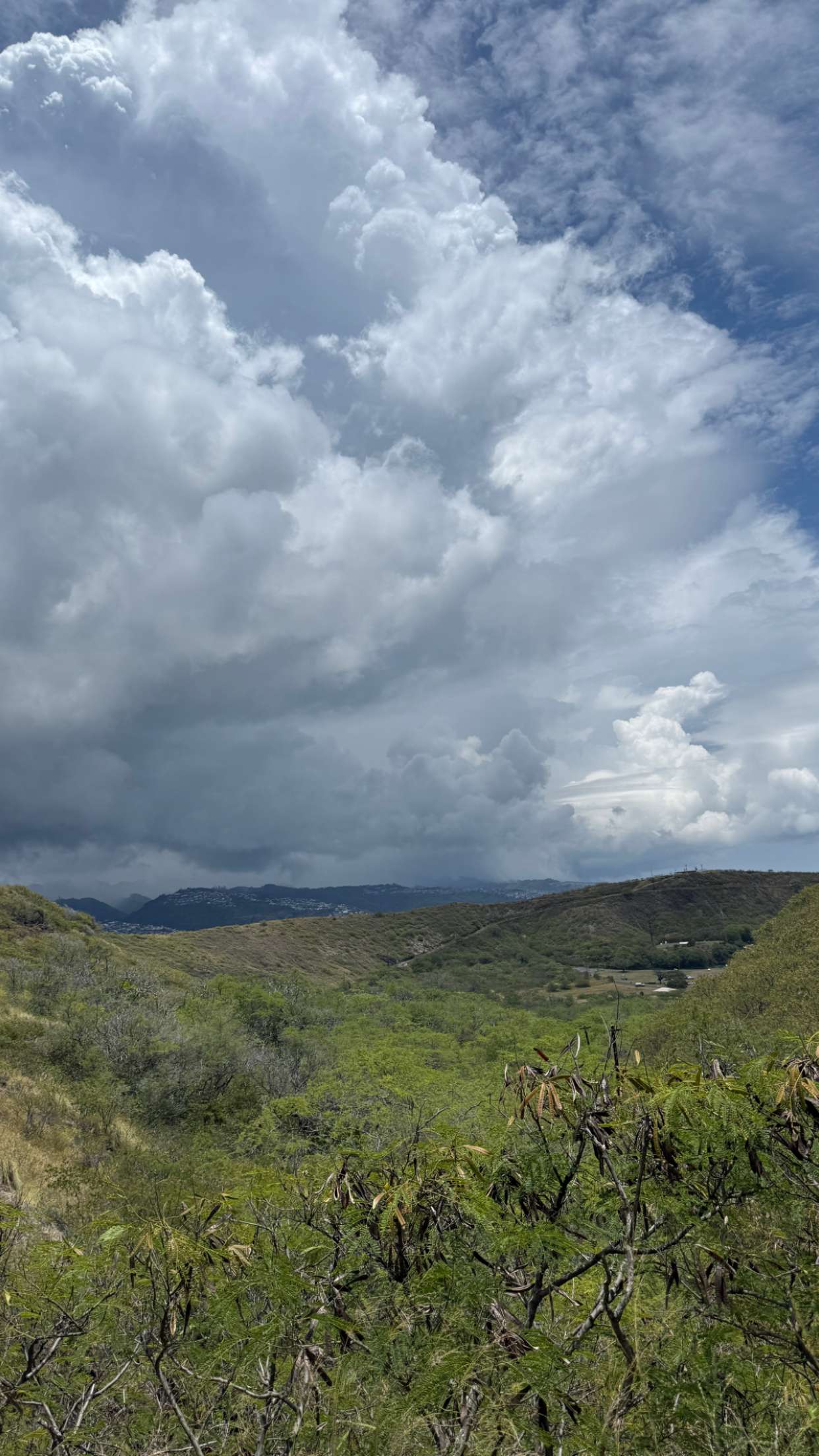 julia.filippo snapchat image archive image