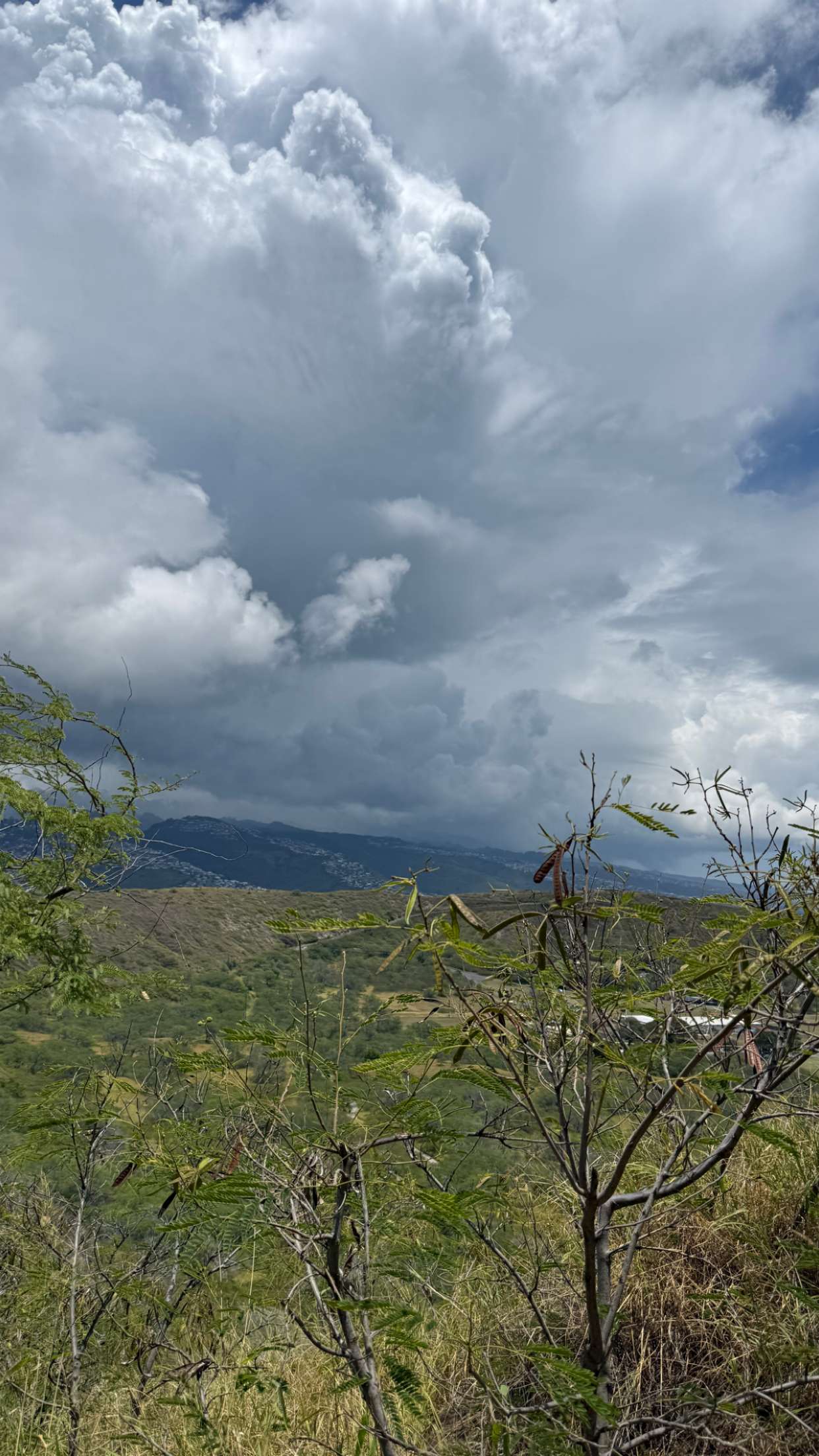 julia.filippo snapchat image archive image