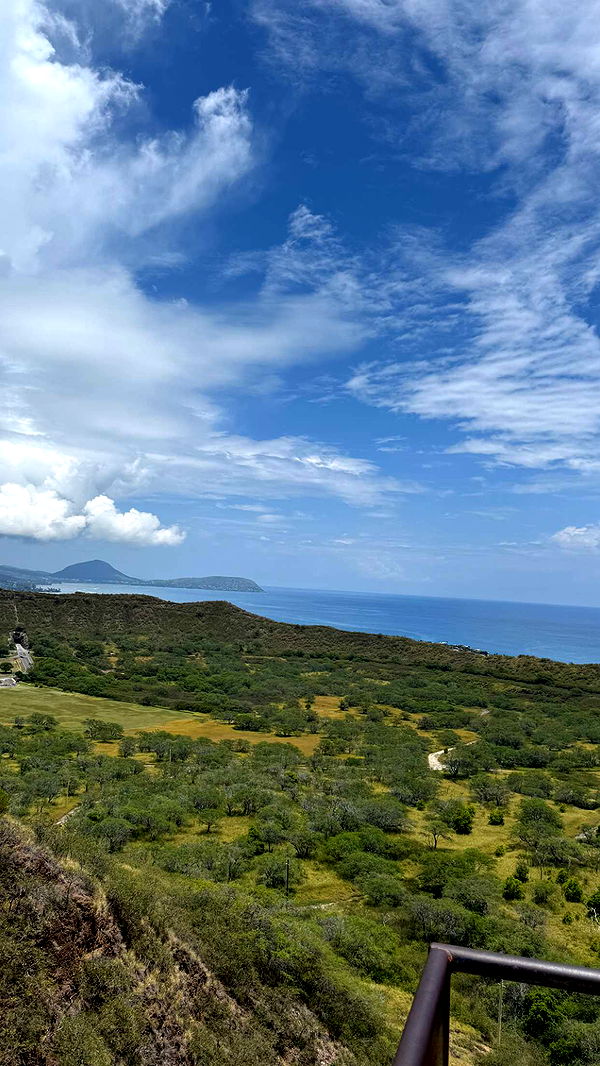 julia.filippo image ~ Altpins