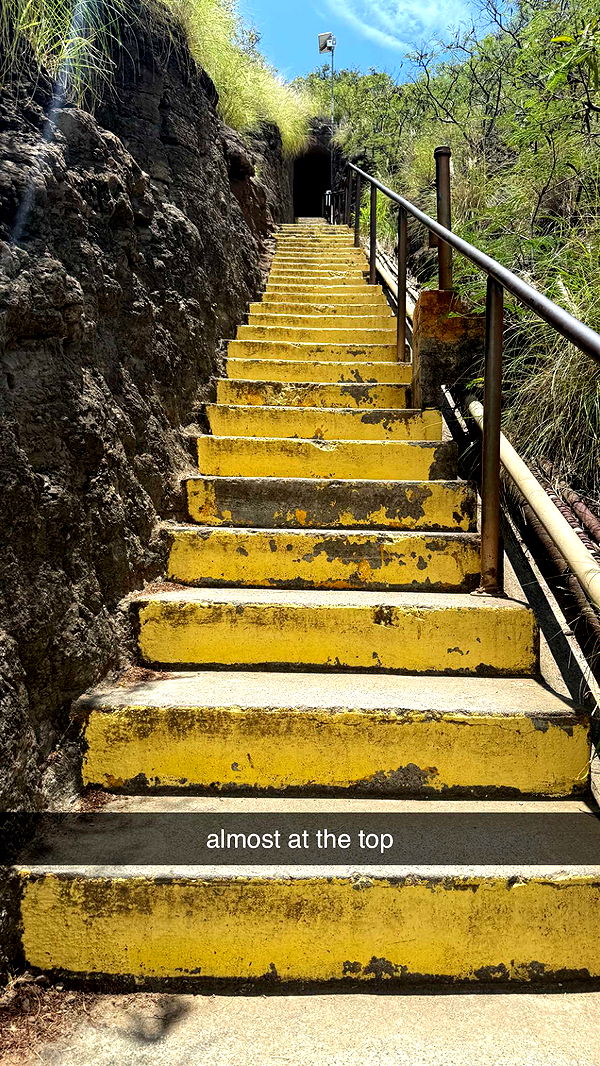 julia.filippo image ~ Altpins