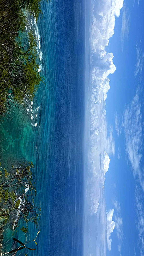 julia.filippo image ~ Altpins