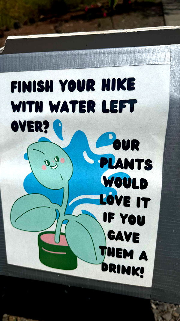 julia.filippo image ~ Altpins