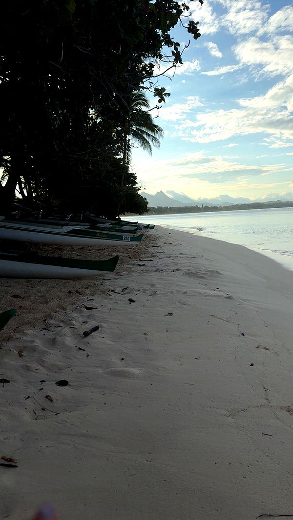 julia.filippo image ~ Altpins