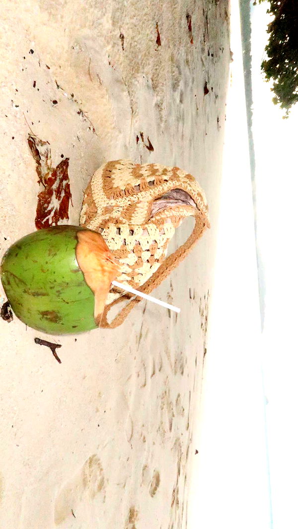 julia.filippo image ~ Altpins