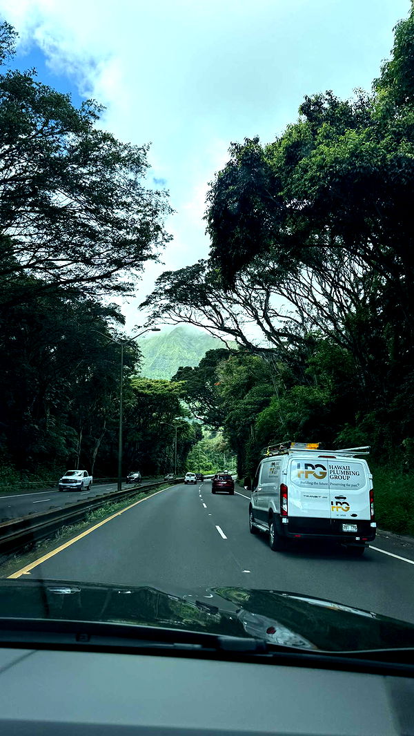 julia.filippo image ~ Altpins