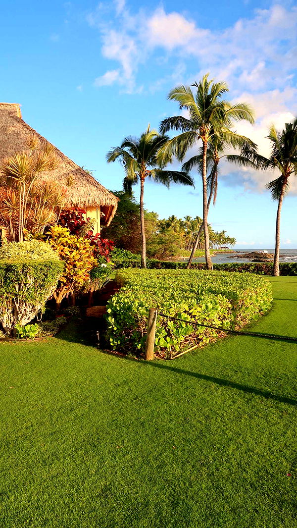 julia.filippo image ~ Altpins