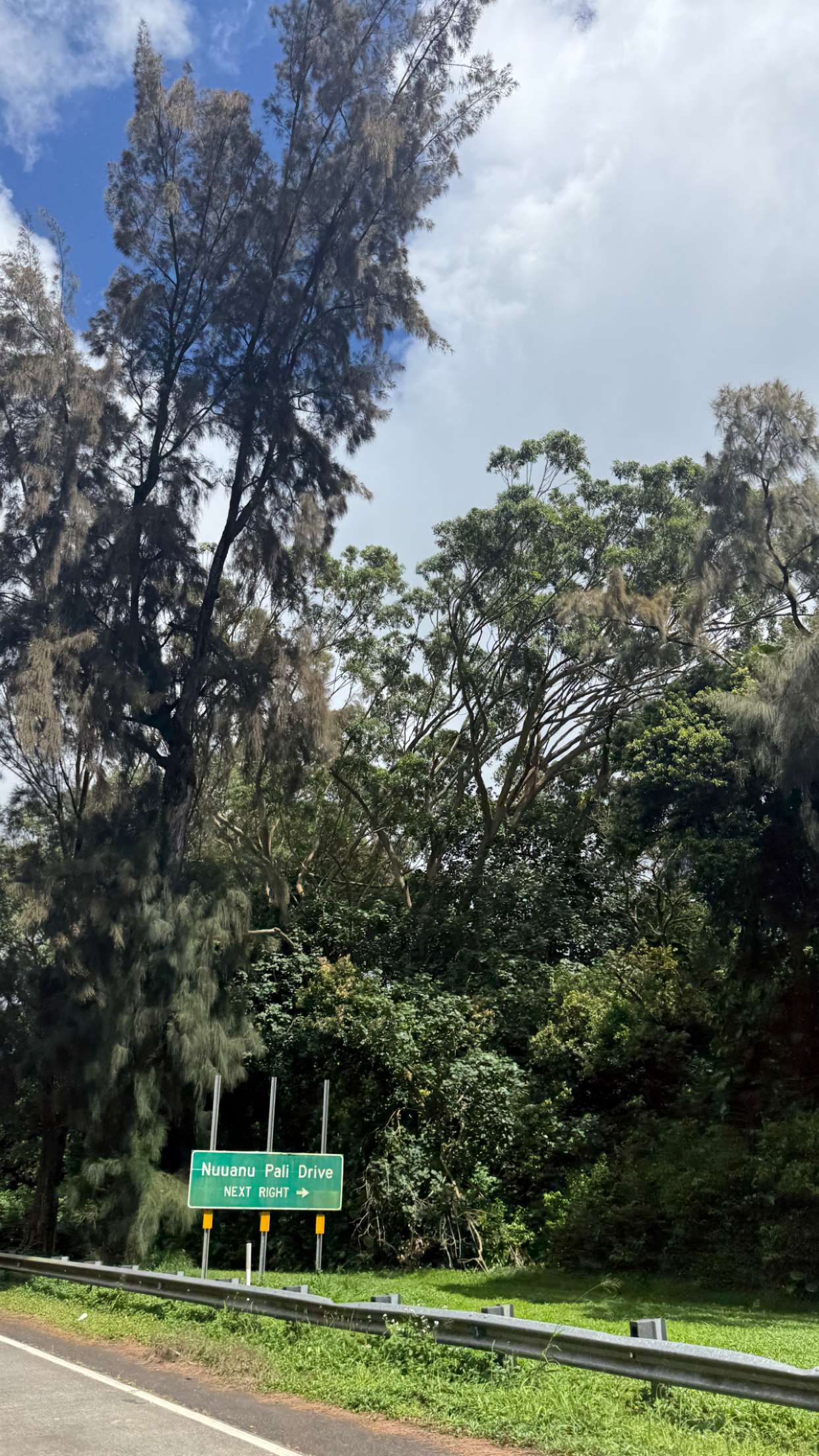 julia.filippo snapchat image archive image