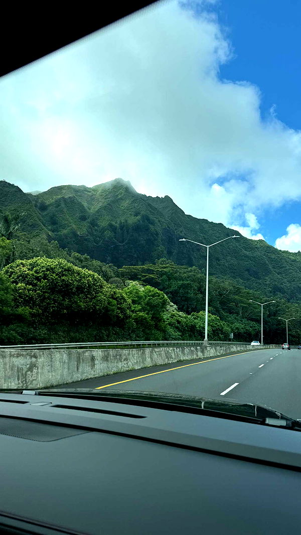 julia.filippo image ~ Altpins