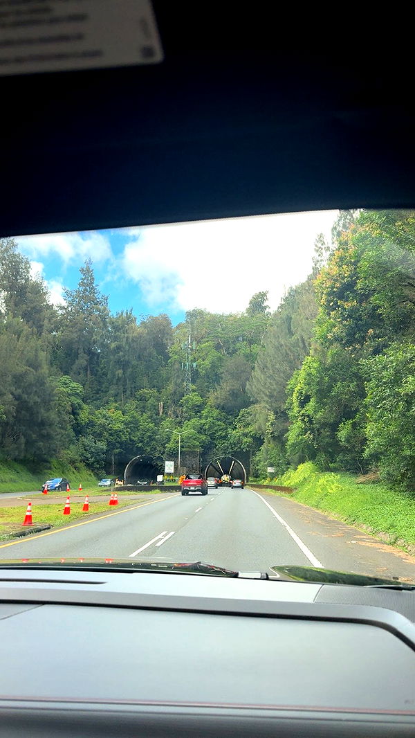 julia.filippo image ~ Altpins