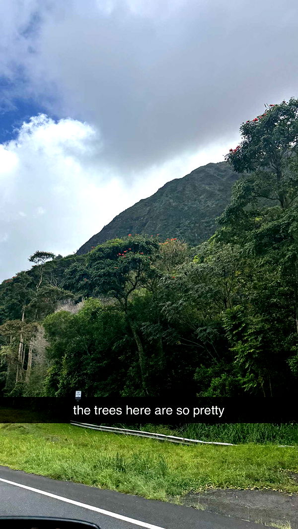 julia.filippo image ~ Altpins