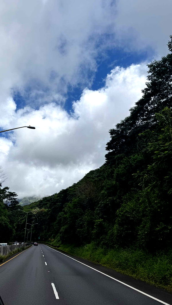 julia.filippo image ~ Altpins