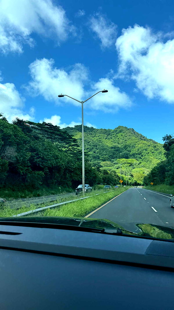 julia.filippo image ~ Altpins