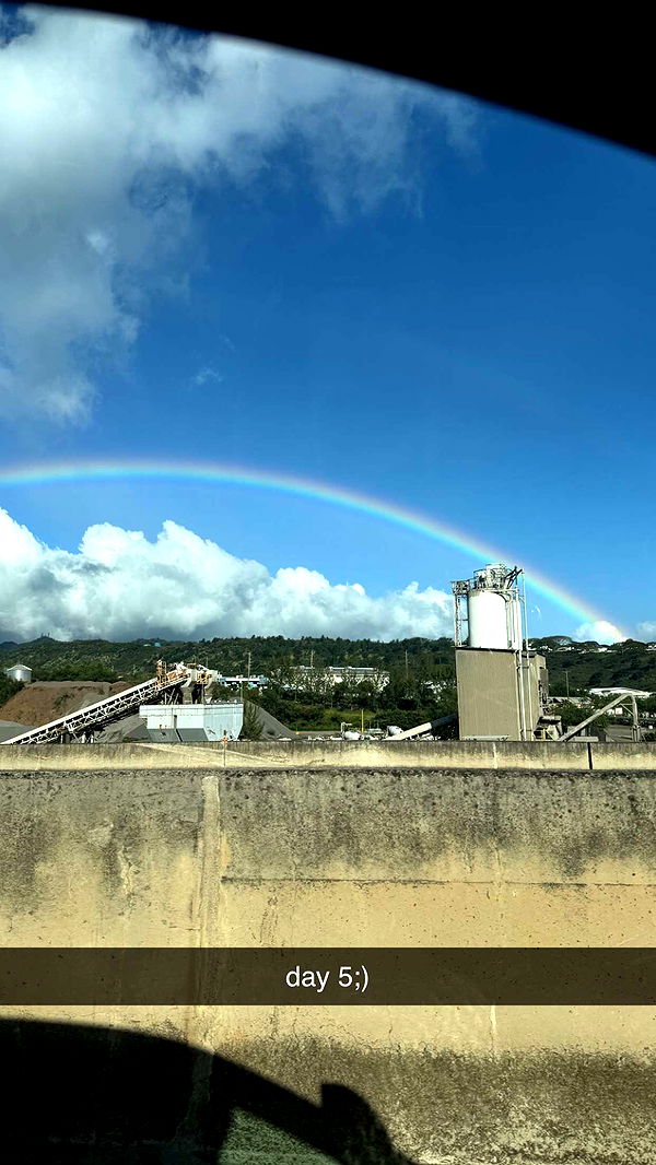 julia.filippo image ~ Altpins