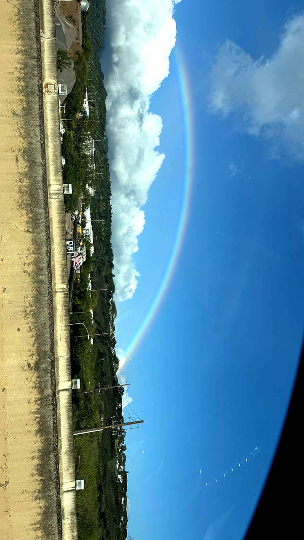 julia.filippo image ~ Altpins