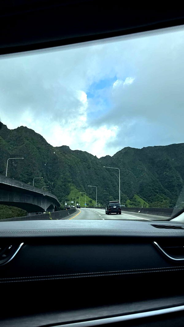 julia.filippo image ~ Altpins