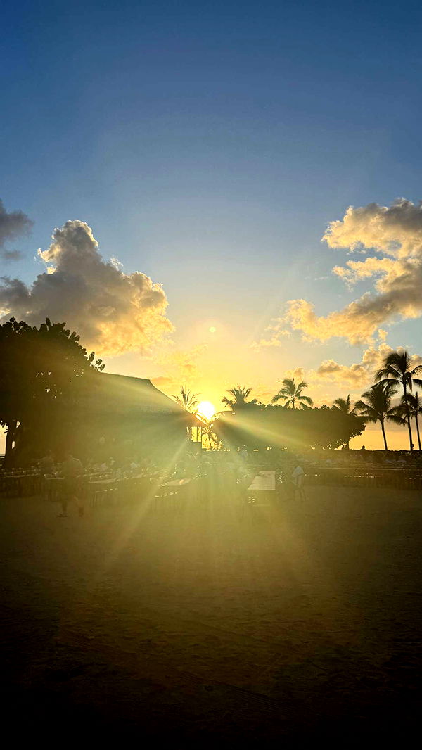 julia.filippo image ~ Altpins