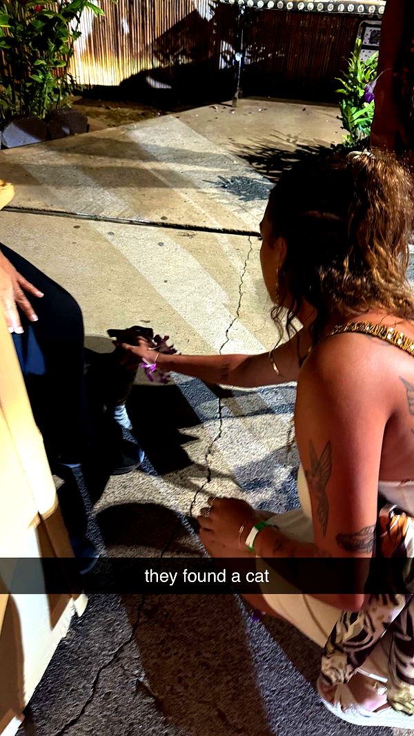 julia.filippo image ~ Altpins