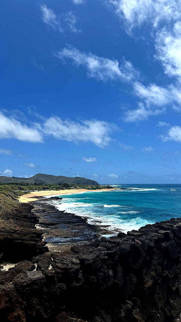 julia.filippo image ~ Altpins