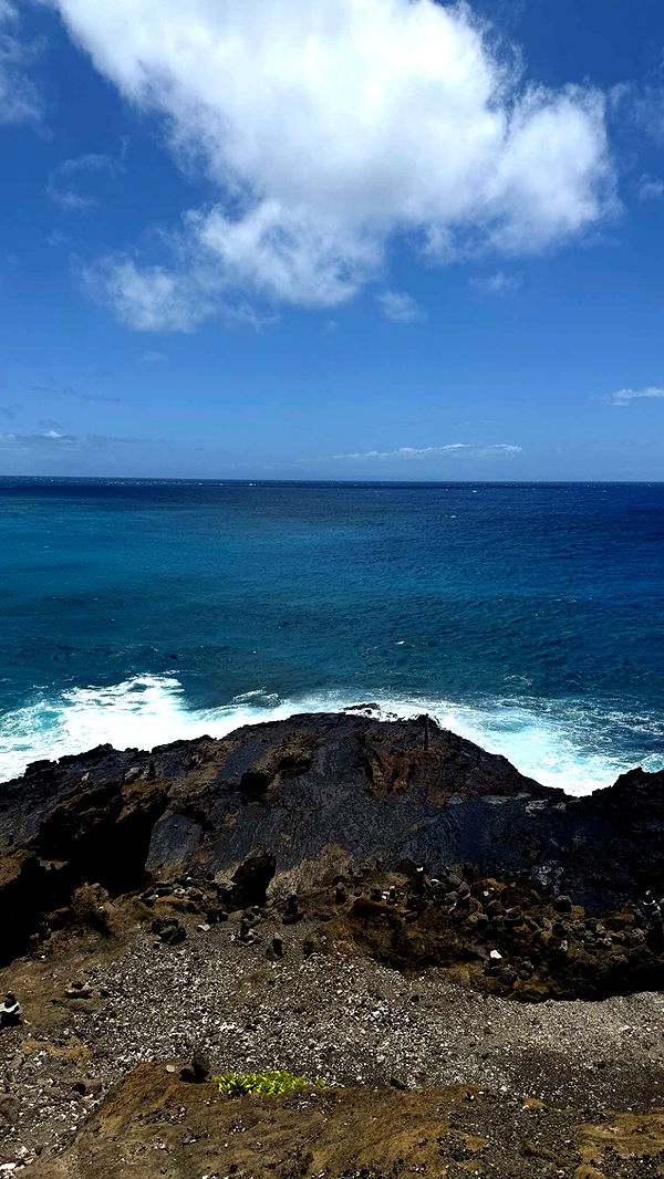 julia.filippo image ~ Altpins