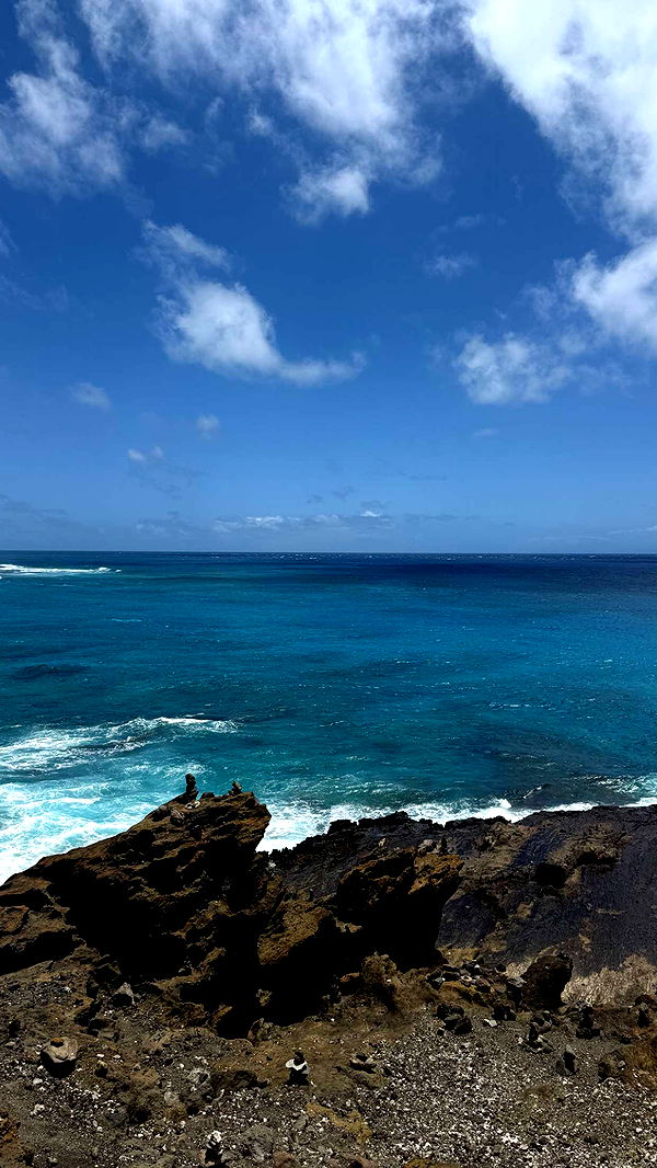 julia.filippo image ~ Altpins