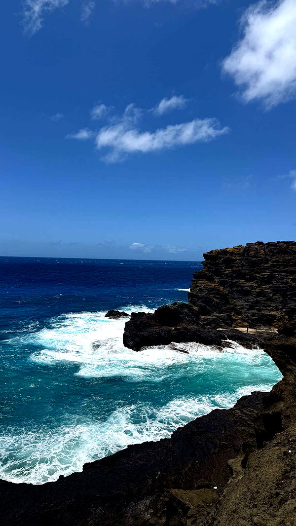 julia.filippo image ~ Altpins