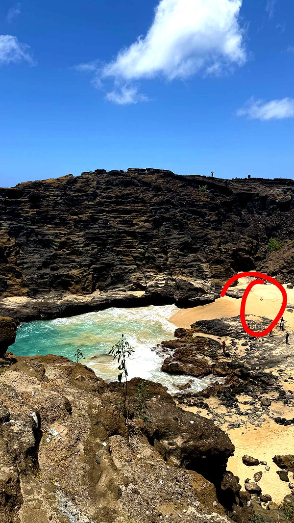 julia.filippo image ~ Altpins