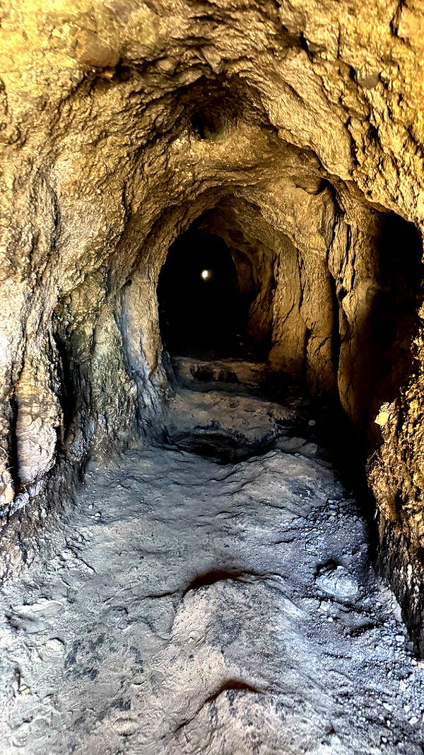 julia.filippo image ~ Altpins